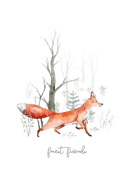 Woodland Aquarel Schattige Dieren Baby Vos Kwekerij Konijn Scandinavische Bos — Stockfoto