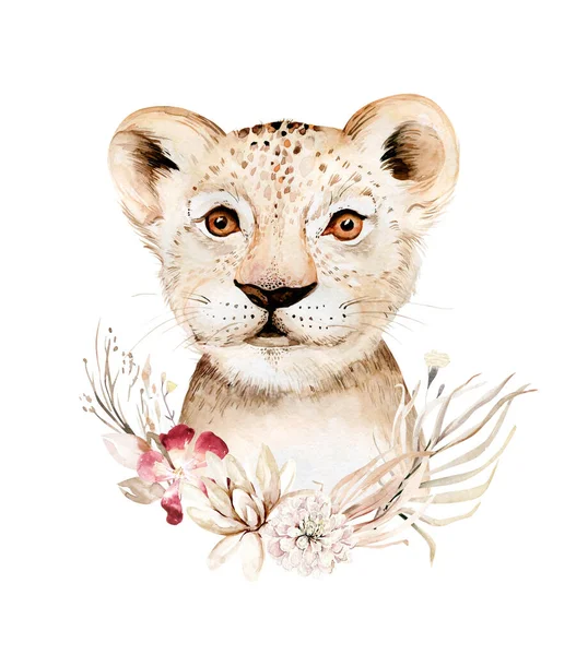 Africa Watercolor Savanna Lion Animal Illustration African Safari Wild Cat — Stock Photo, Image