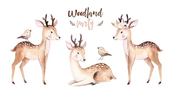 Woodland watercolor cute animals baby deer. Scandinavian cartoon forest nursery poster design