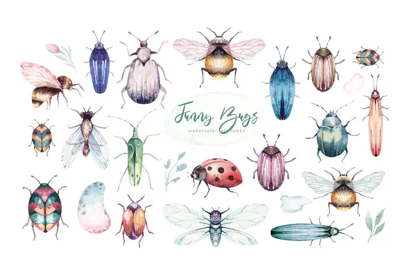 Σύνολο από νερομπογιές φωτεινά σκαθάρια, έντομα πετούν και μέλισσες. Απομονωμένα πολύχρωμα καρτούν και ζωύφια. Διακόσμηση συνόλου εντόμων — Φωτογραφία Αρχείου