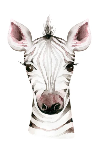 非洲水彩画斑马动物 非洲萨法里可爱的动物肖像画 非常适合壁纸印刷 邀请函 婚纱设计 — 图库照片