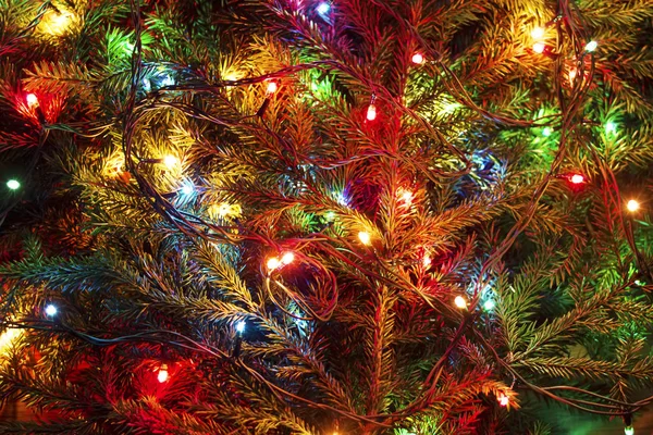 Χρωματιστά φώτα των Χριστουγέννων — Φωτογραφία Αρχείου