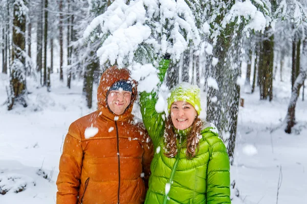 Etkin aile kış ormanda yürüyüş.