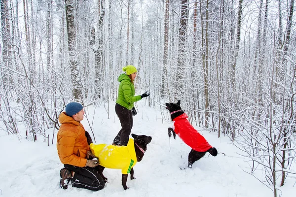 Activefamily walk the dog in the winter forest.