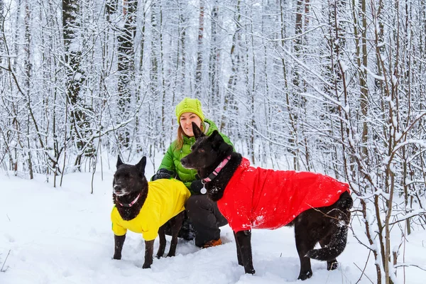 적극적인 여 자가 겨울 숲에서 개를 산책. — 스톡 사진