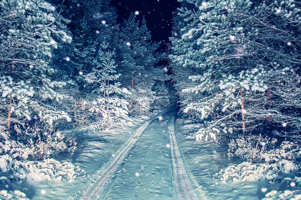 雪の降る夜の森の道. — ストック写真
