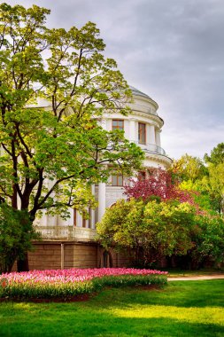 Çiçek açması bahar Parkı.