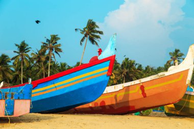 Bir balıkçı köyü çok renkli tekneler.