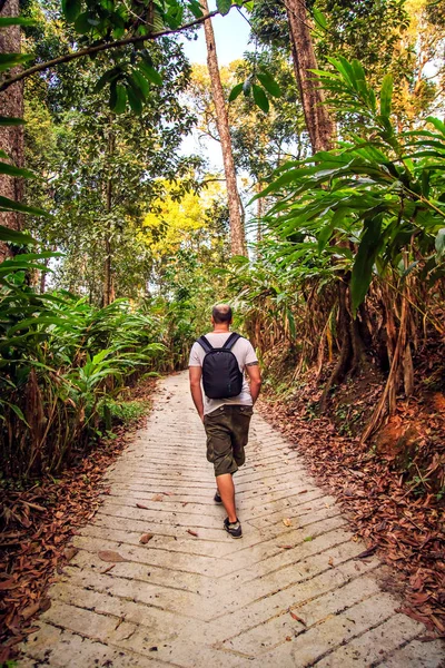 वन्य जंगलावर पर्यटक चालणे . — स्टॉक फोटो, इमेज
