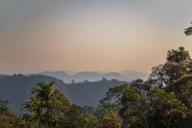 Dağlık vahşi orman.