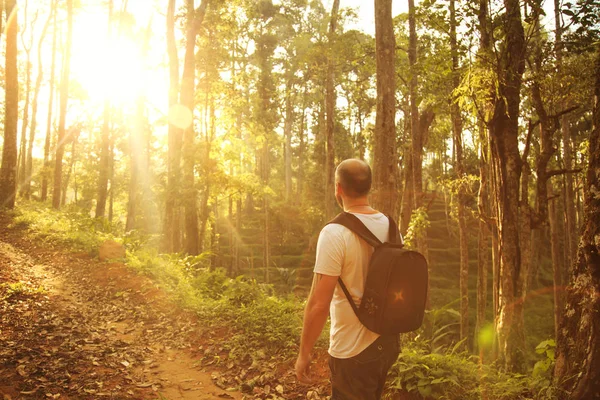 Tourist walk on the wild jungle.