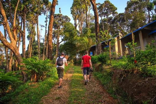観光客が野生のジャングルを歩く. — ストック写真