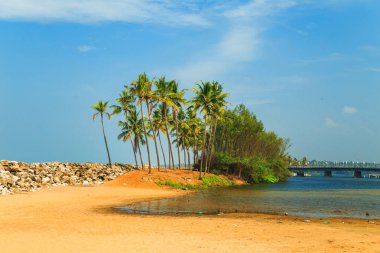 Mavi gökyüzü ve palmiye ağaçları ile tropikal peyzaj. 