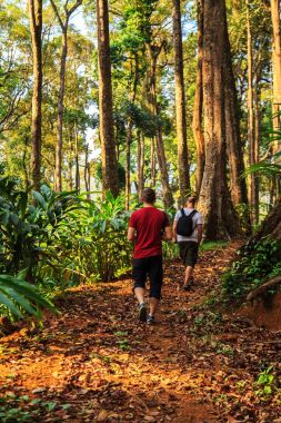 Vahşi orman yürüyüşüne turist. 