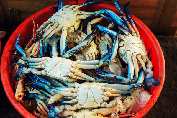 Crabi cruzi în pelvis . — Fotografie, imagine de stoc