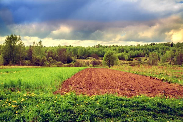 Terras aráveis e campos de trigo . — Fotografia de Stock