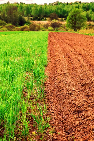 Tierras y campos de trigo . — Foto de Stock