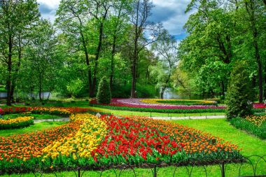 Bahar Şehir Parkı içinde inanılmaz çiçek açan laleler.