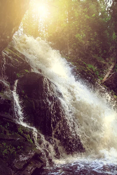 Hermosa cascada en bosque salvaje . —  Fotos de Stock