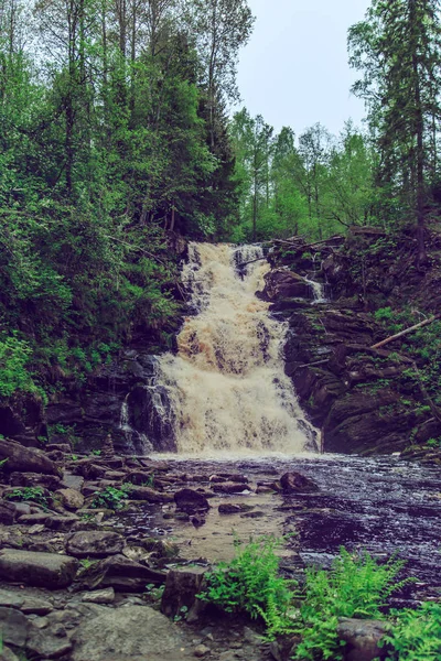 Hermosa cascada en bosque salvaje . —  Fotos de Stock