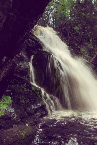 Hermosa cascada en bosque salvaje . —  Fotos de Stock