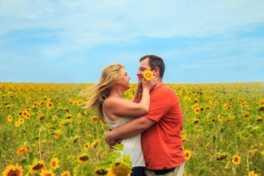 Seven bir alanda çift ayçiçeği.