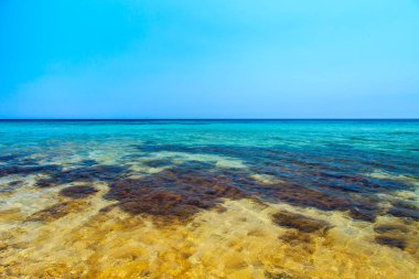 Crimea Karadeniz sahil şeridi.