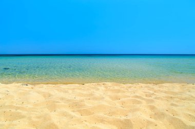 Crimea Karadeniz sahil şeridi.