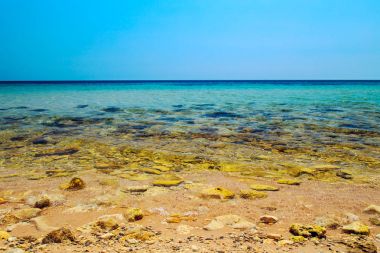 Crimea Karadeniz sahil şeridi.