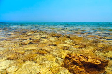 Crimea Karadeniz sahil şeridi.