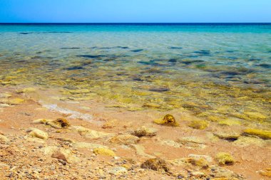 Crimea Karadeniz sahil şeridi.