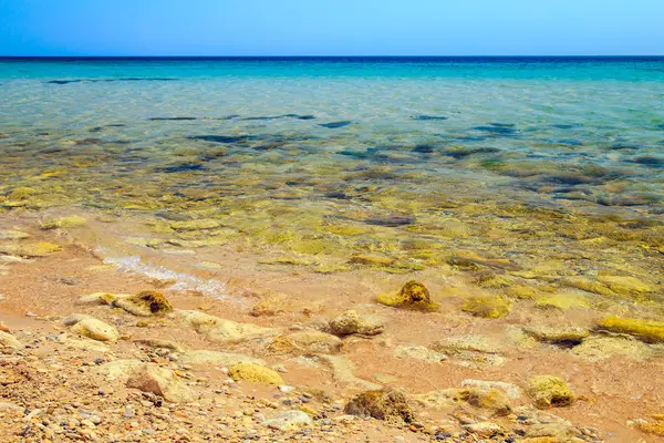 Crimea Karadeniz sahil şeridi.