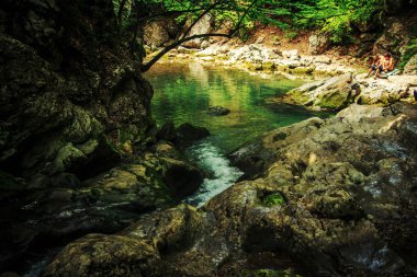 Muhteşem orman manzara.