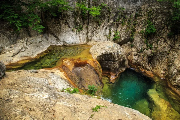 Muhteşem orman manzara.