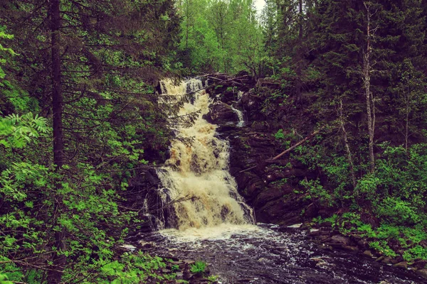 Beautiful waterfall in wild forest.