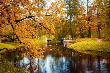 güzel sonbahar park.