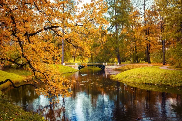 güzel sonbahar park.