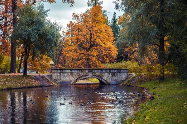 güzel sonbahar park.
