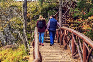 Aile yolcuları dağ park boyunca yürüyüş. 