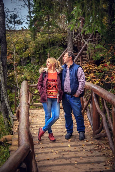 Viajeros familiares caminando por el parque de montaña . —  Fotos de Stock