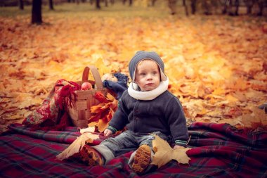 Sonbahar parkta oynarken küçük çekici bebek. 