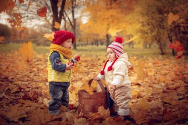 Küçük çekici çocuklar sonbahar parkta oynamak.