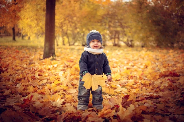 Little attractive baby playing in autumn park. — Stock Photo, Image