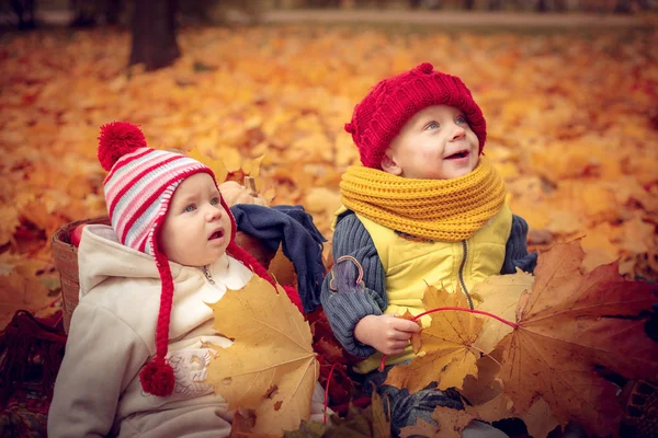 Malá atraktivní děti hrát na podzim park. — Stock fotografie