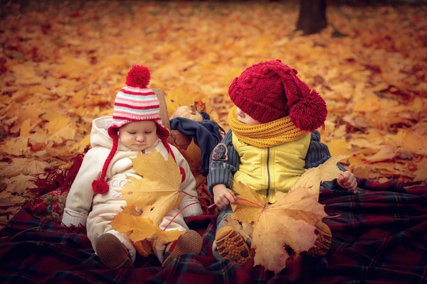 Küçük çekici çocuklar sonbahar parkta oynamak. — Stok fotoğraf