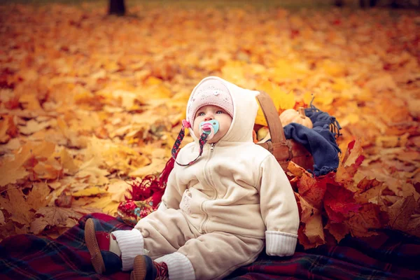 Atraktivní děťátko hrát na podzim park. — Stock fotografie