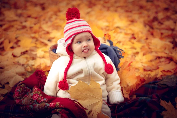 Weinig aantrekkelijke baby spelen in herfst park. Rechtenvrije Stockafbeeldingen