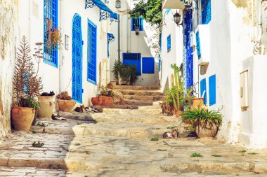 Beyaz-mavi şehir, Sidi Bou Said, Tunus.
