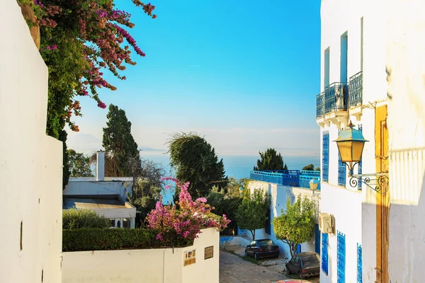 Cidade azul-branca de Sidi Bou Said, Tunísia . — Fotografia de Stock