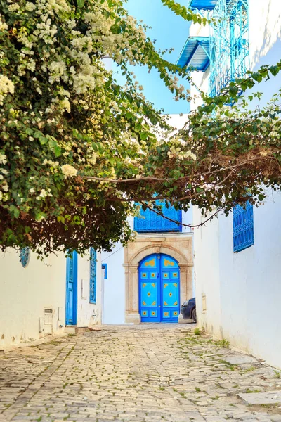 Città bianco-blu di Sidi Bou Said, Tunisia . — Foto Stock